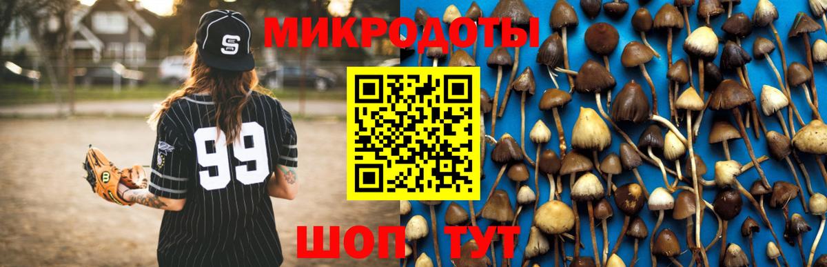 Галлюциногенные грибы мицелий  Галлюциногенные грибы Magic Shrooms  магазин продажи наркотиков  Вход с VPN  Трёхгорный 